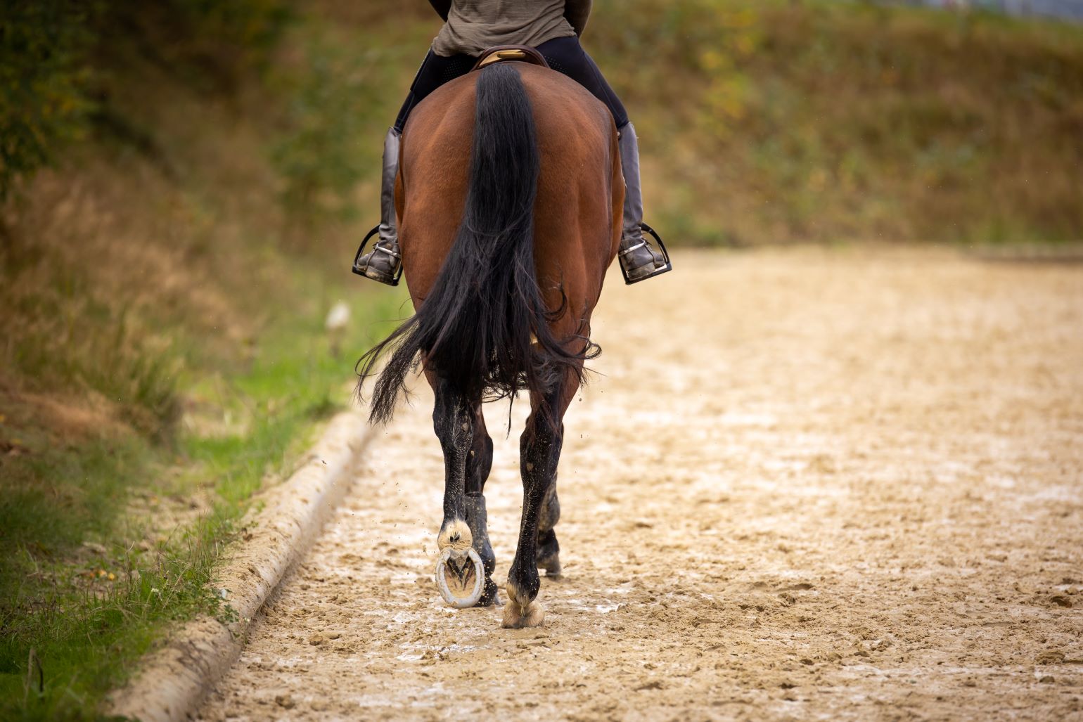 Letselschade veroorzaakt door paarden